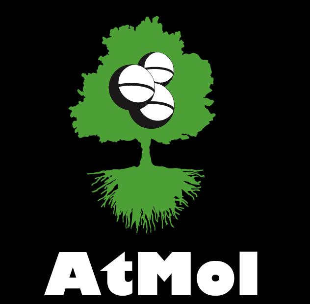 AtMol - Krakow meeting!