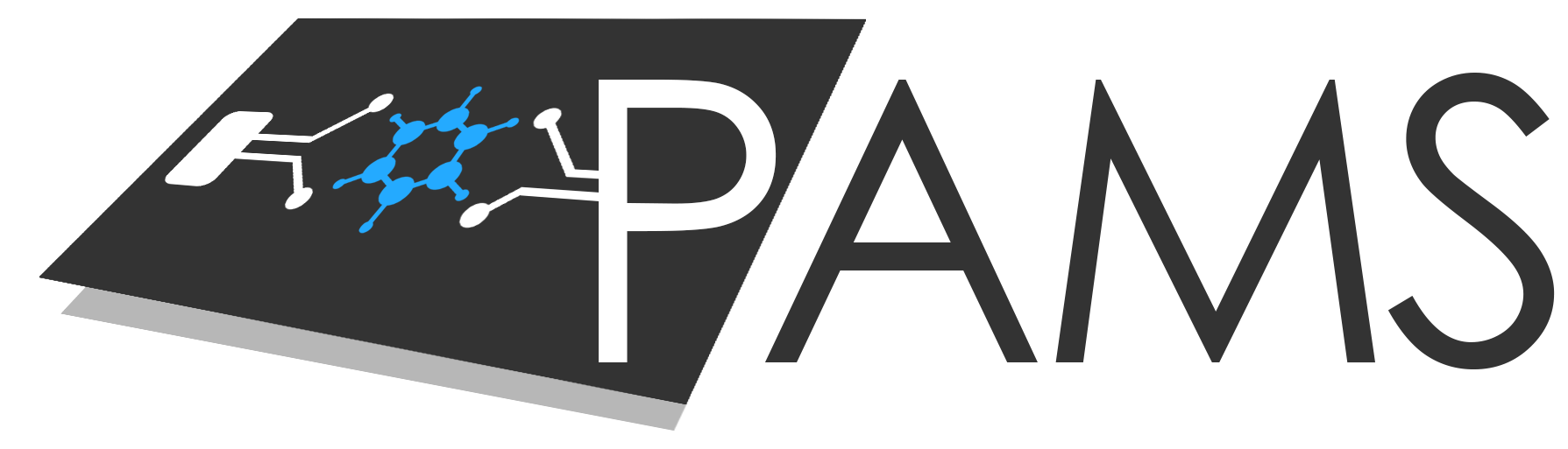 PAMS- Krakow meeting